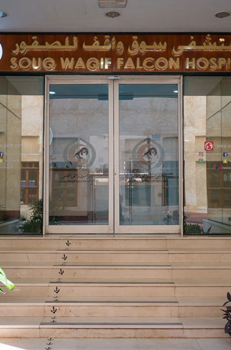 falconhopital